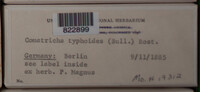 Image Associated With the Occurence